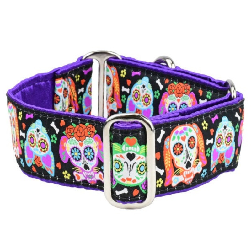 2Hounds Design XOLO  Sugar Skull Dog Collar Large
