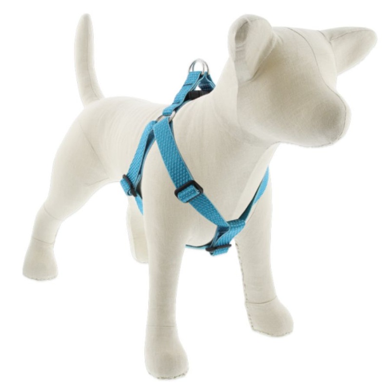 Lupine Eco Step In Dog Harness 3/4" x 15"-21" Tropical Sea