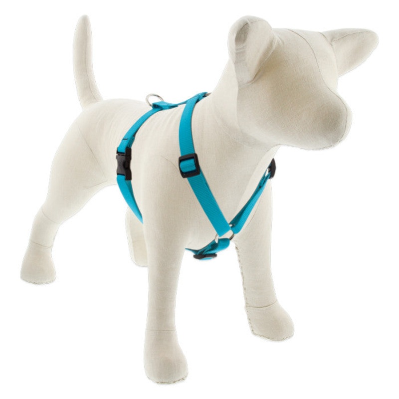 Lupine Basic Solids Roman Dog Harness 3/4" x 14"-24" Aqua