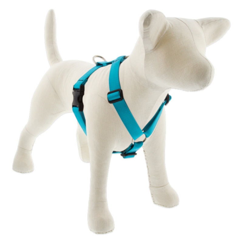 LUPINE Basic Solids Roman Dog Harness, Aqua, 1x20-32"