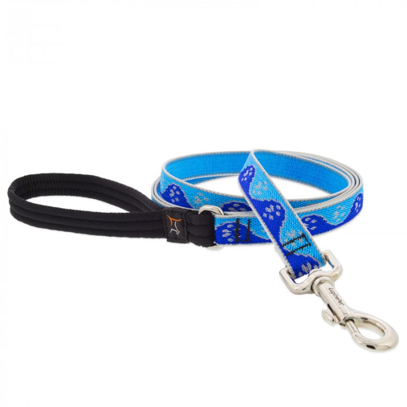 Lupine Dog Leash 3/4" Width X 6' Length High Lights Blue Paws