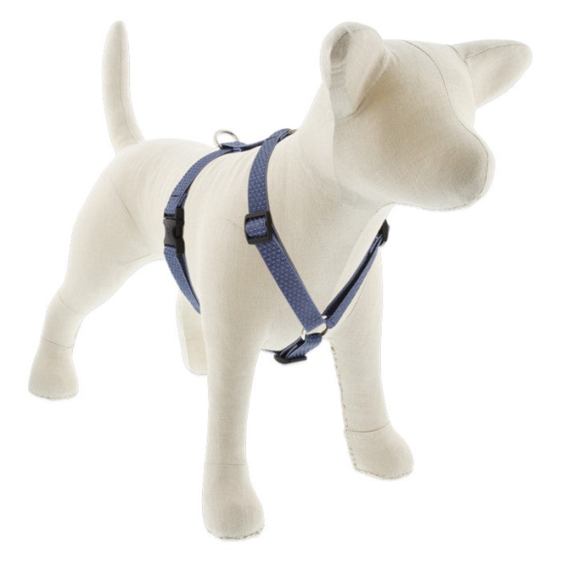 Lupine Eco Roman Dog Harness 3/4" x 12"-20" Mountain Lake