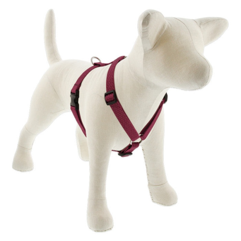 Lupine Eco Roman Dog Harness 3/4" x 14"-24" Berry