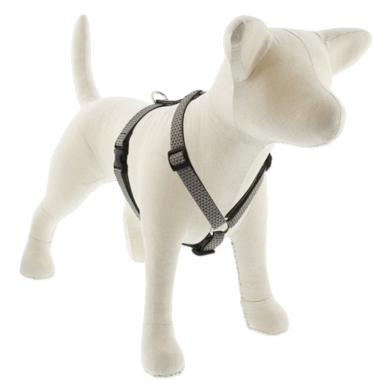 Lupine Eco Roman Dog Harness 3/4" x 14"-24" Granite