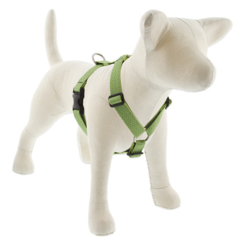 LUPINE Eco Roman Dog Harness, Moss, 1x24-38"