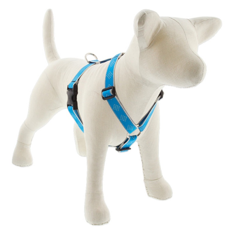 Lupine Reflective Roman Dog Harness 1" Wide 24"-38" Girth Blue Diamond