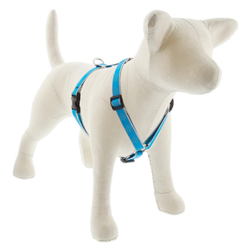 Lupine Reflective Roman Dog Harness 3/4" Wide 12"-20" Girth Blue Diamond