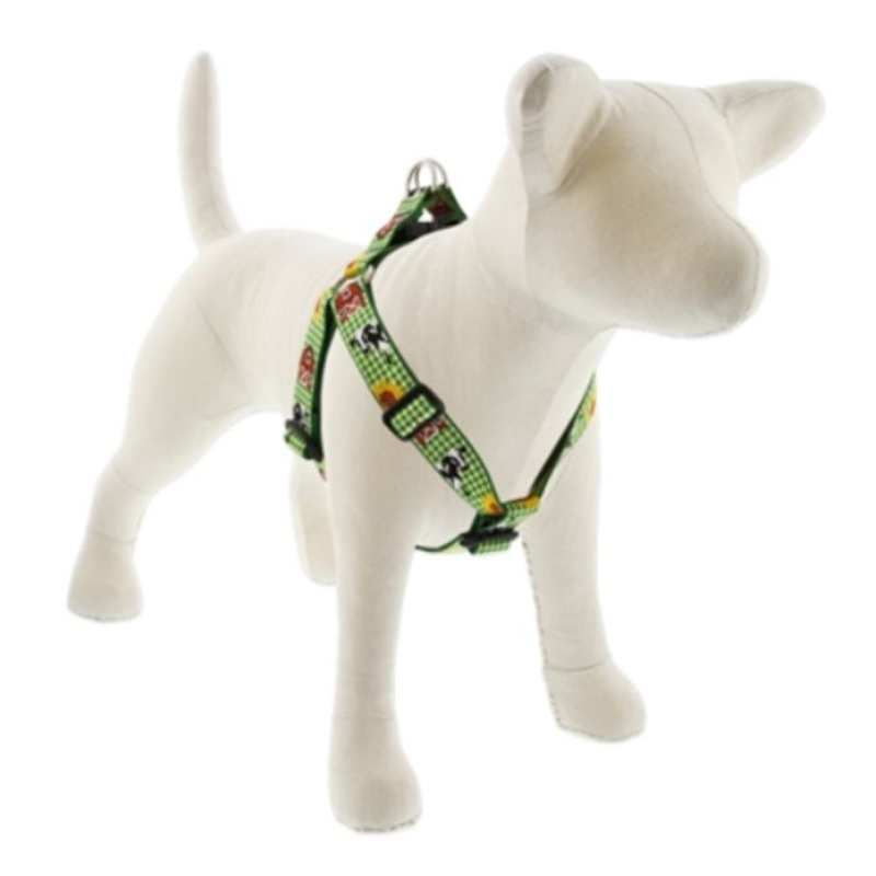 Lupine Step-In Harness 1" x 24"-38" Heartland