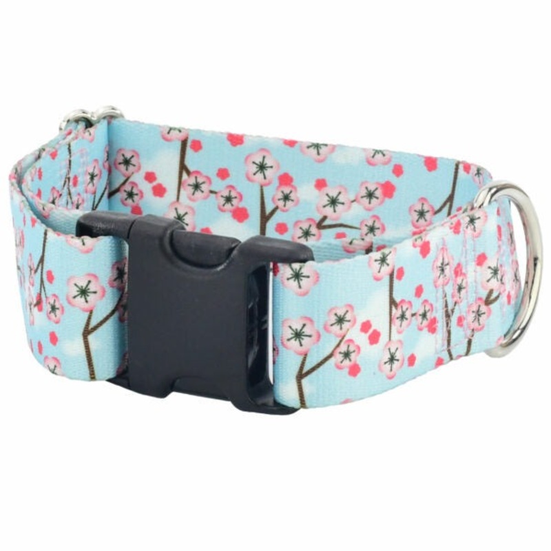 2Hounds Design Cherry Blossoms Dog Collar Large 1.5"