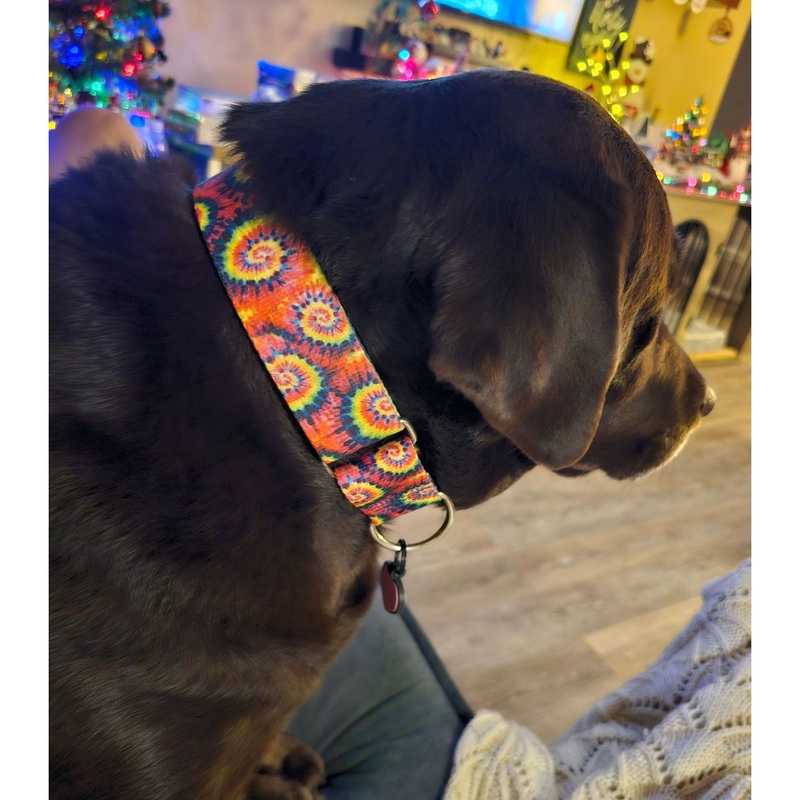 2Hounds Design Classic Tie-Dye Dog Collar Medium