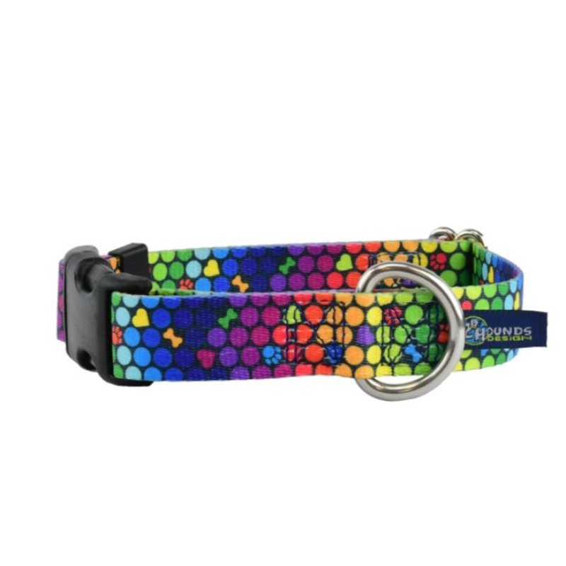 2Hounds Design ROY G BIV Dog Collar Small