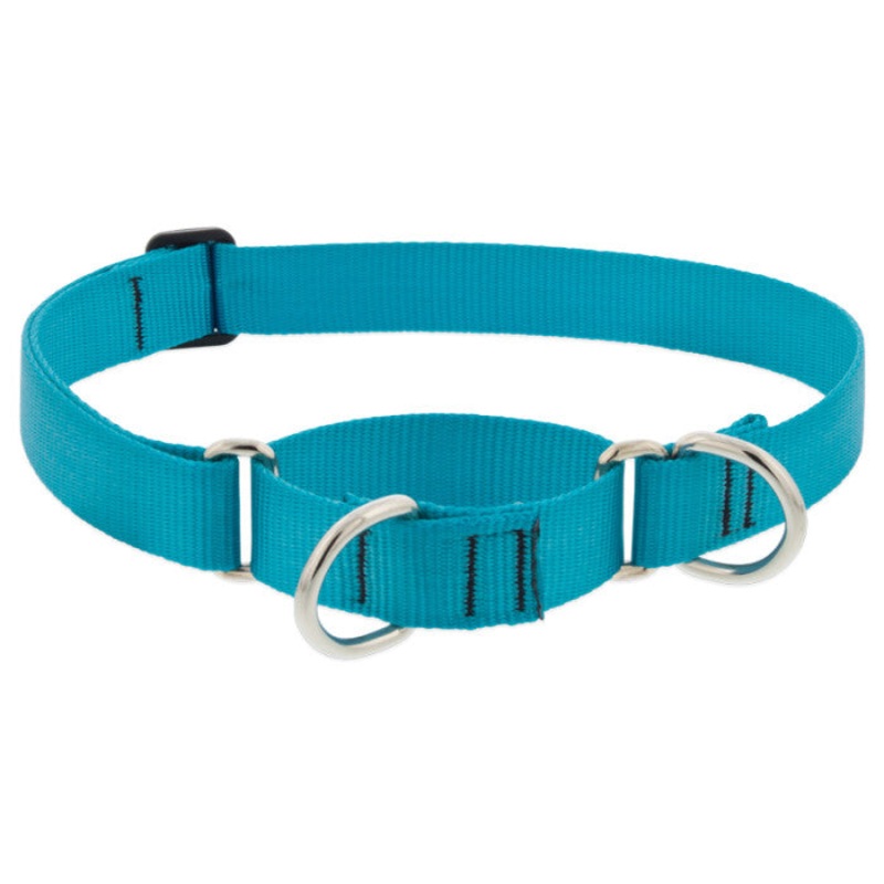 Lupine Martingale Collar for Training 1"x19-27" Aqua