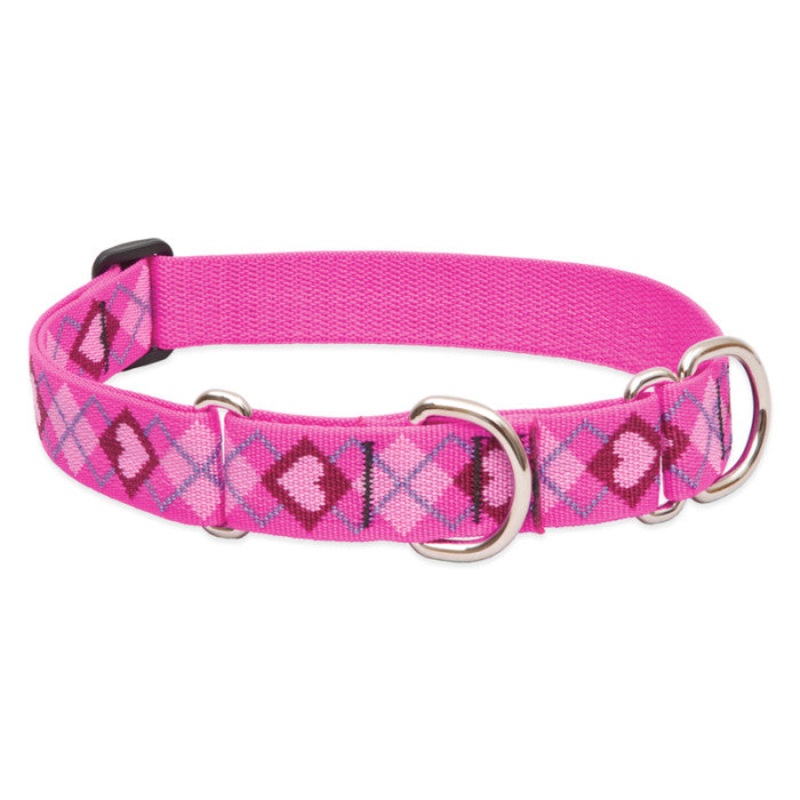 Lupine Martingale Collar for Training 1"x19-27" Puppy Love