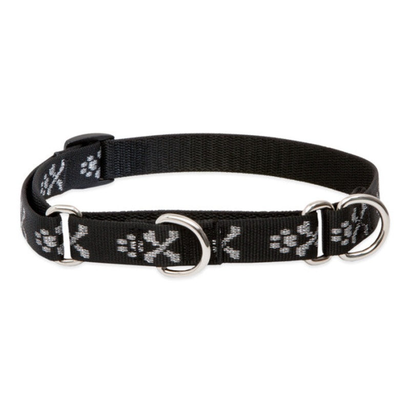 Lupine Martingale Collar for Training 3/4"x10-14" Bling Bonz