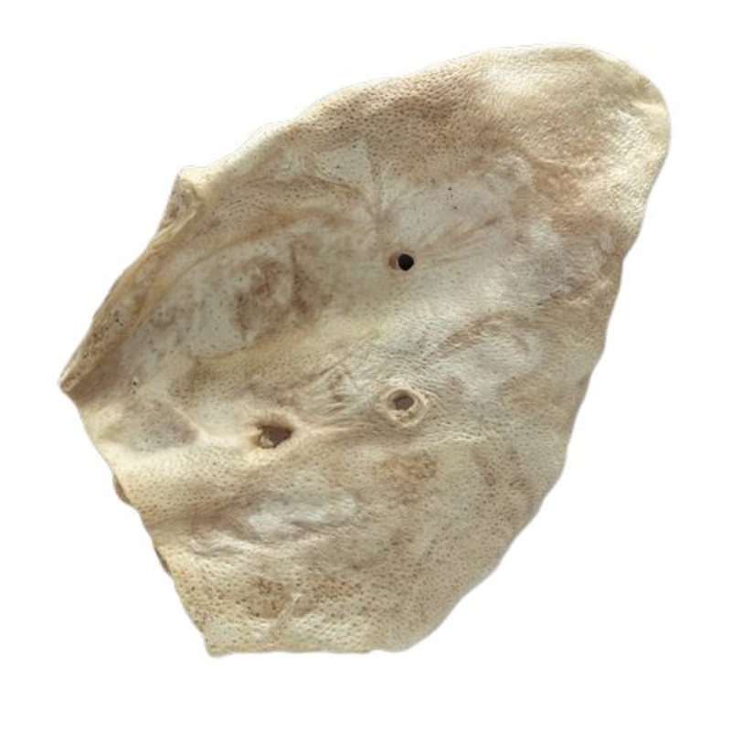 Bones & Co Freeze Dried Pig Ear Dog Treats Each