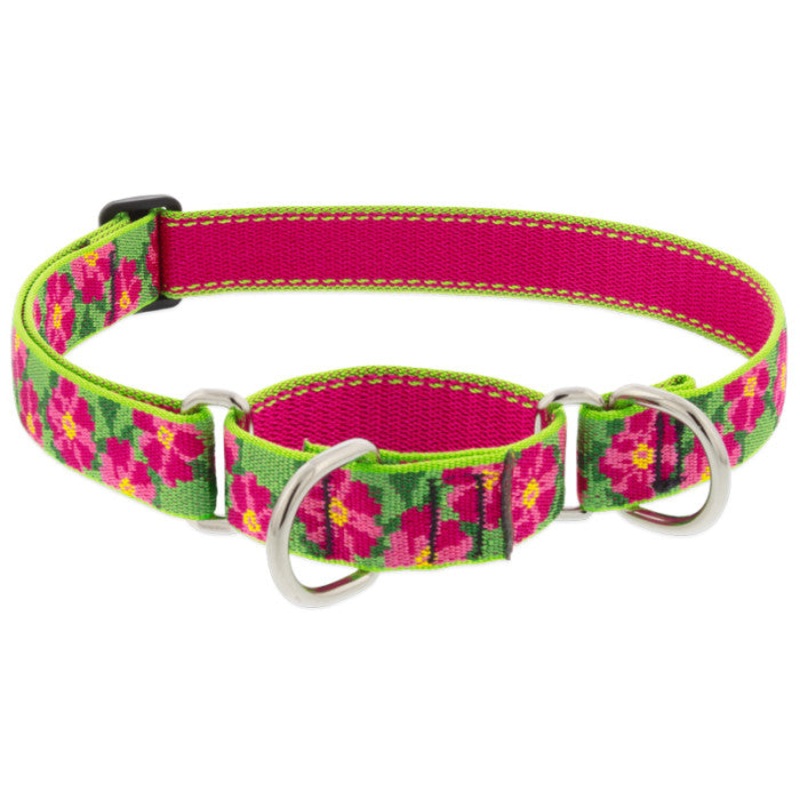 Lupine Martingale Collar for Training 1" x 19-27" Petunias
