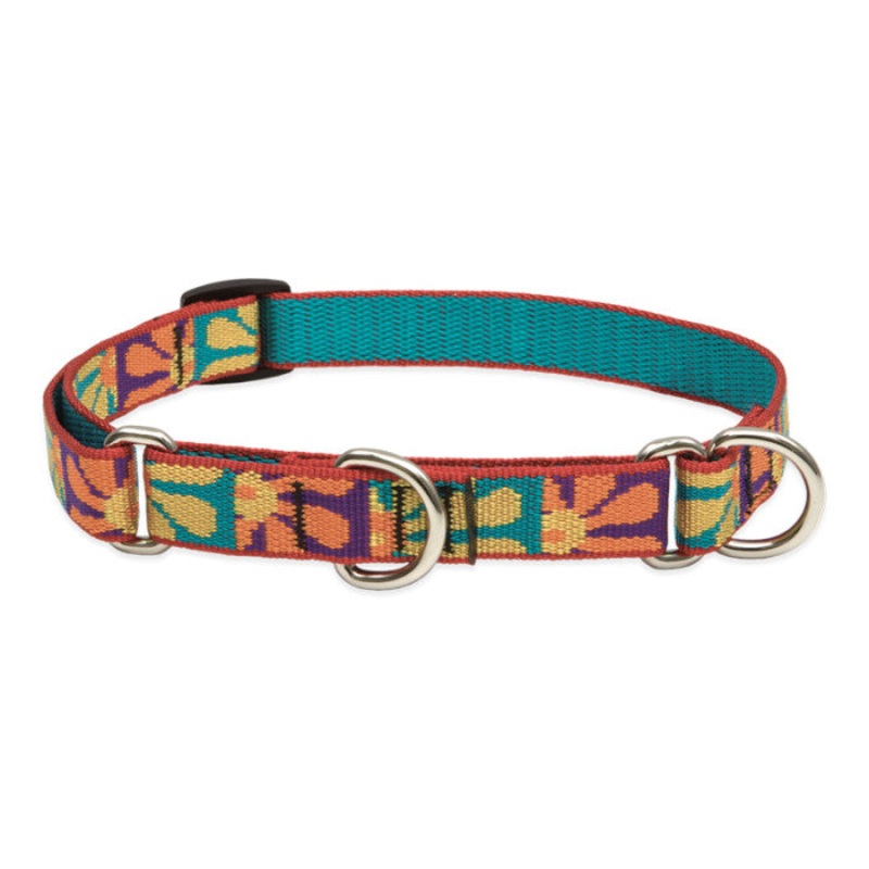 Lupine Martingale Collar for Training 3/4" x 10-14" Crazy Daisy