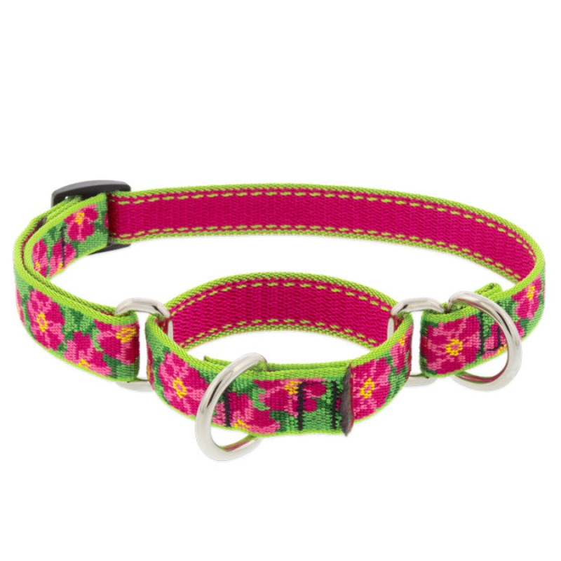 Lupine Martingale Collar for Training 3/4" x 10-14" Petunias