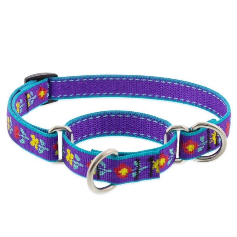 Lupine Martingale Dog Collar for Training 3/4" x 14-20" Folk Flower