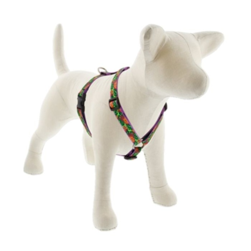 Lupine Roman Dog Harness 3/4" x 20-32" Pina Colada