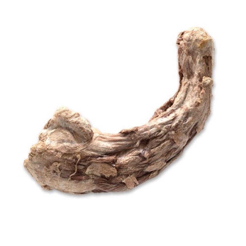 Bones & Co Freeze Dried Turkey Neck Dog Treats Each