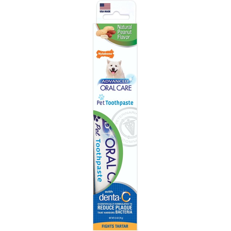 Nylabone Advanced Oral Care Natural Peanut Flavor Dog Toothpaste