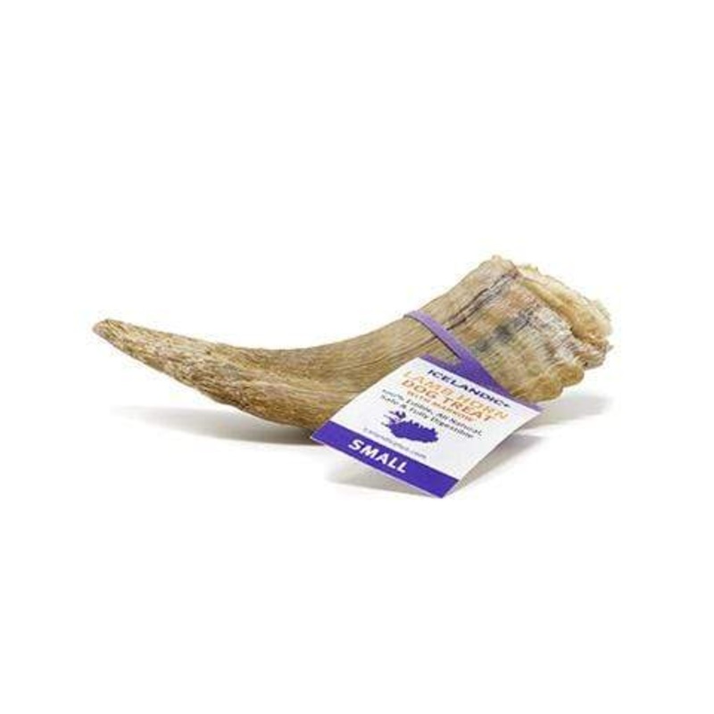 Icelandic+ Small Lamb Horn with Marrow Dog Treat