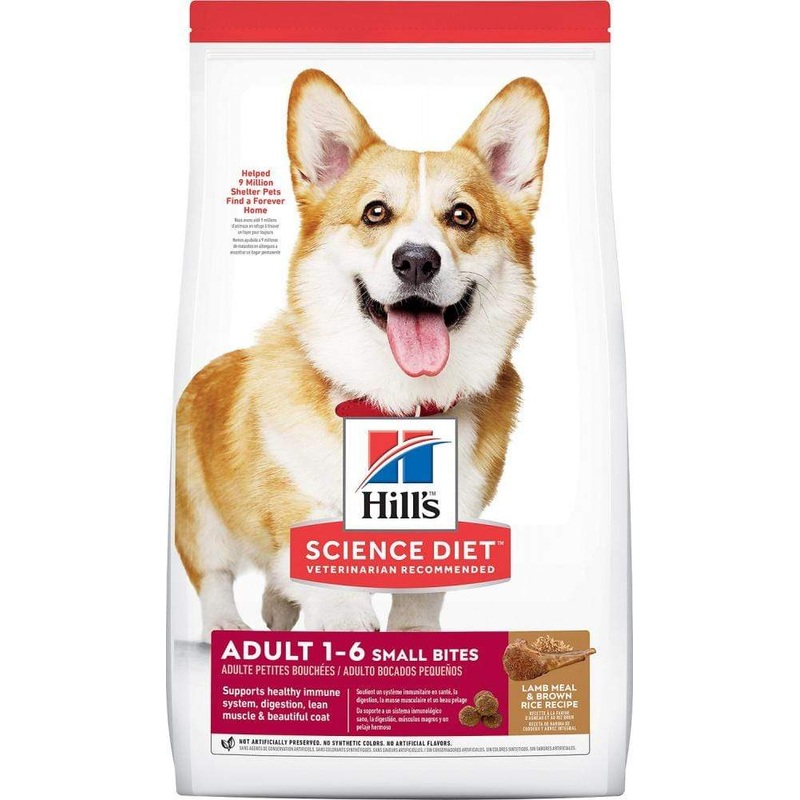 Hill's Science Diet Small Bites Lamb Meal & Brown Rice Recipe Dry Dog Food