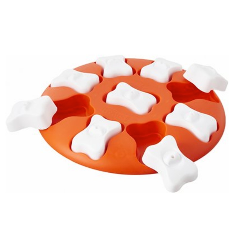 Outward Hound Smart Puzzle Game Dog Toy