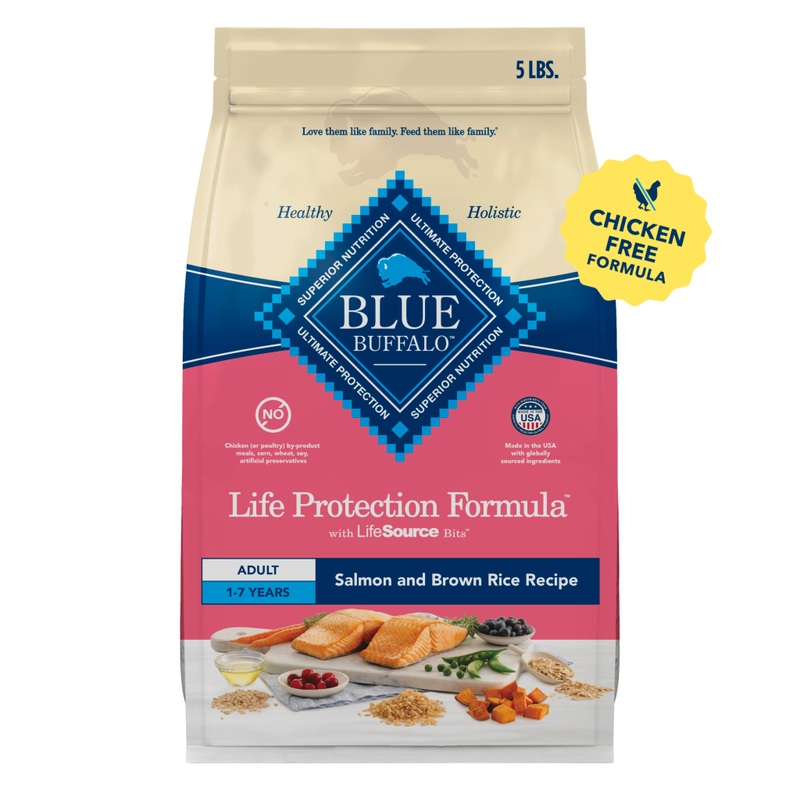 Blue Buffalo Life Protection Salmon & Brown Rice Recipe Adult Dry Dog Food
