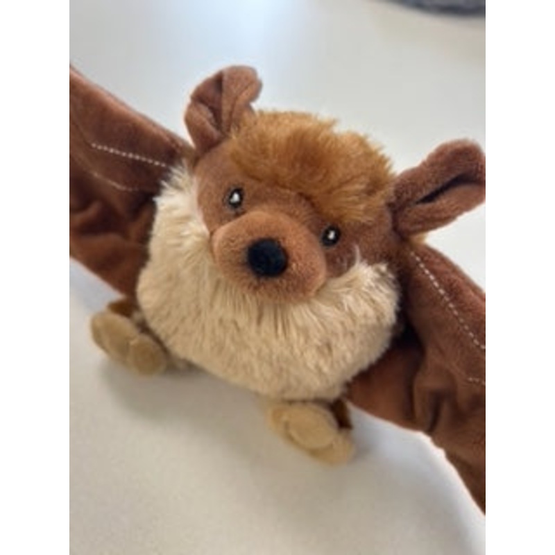 Lightning Dog Wing Dingers Fruit Bat Plush Dog Toy