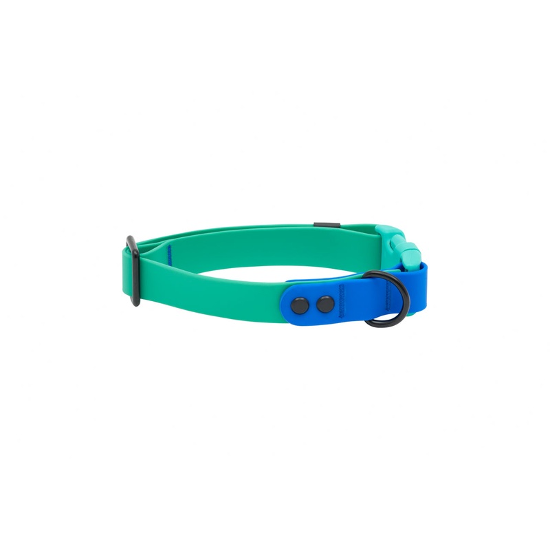 RC Pets Waterproof Collar for Dogs in Parakeet & Sapphire