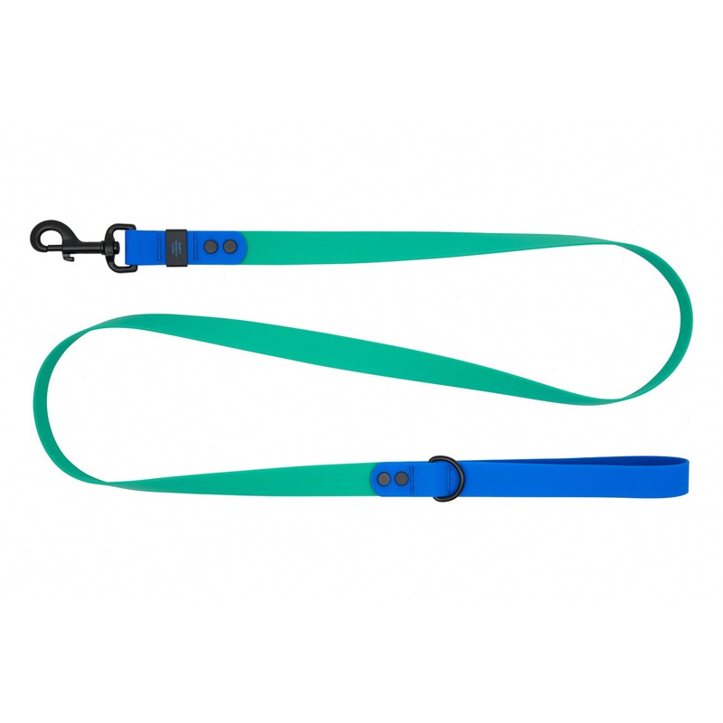 RC Pets Waterproof Leash for Dogs in Parakeet & Sapphire