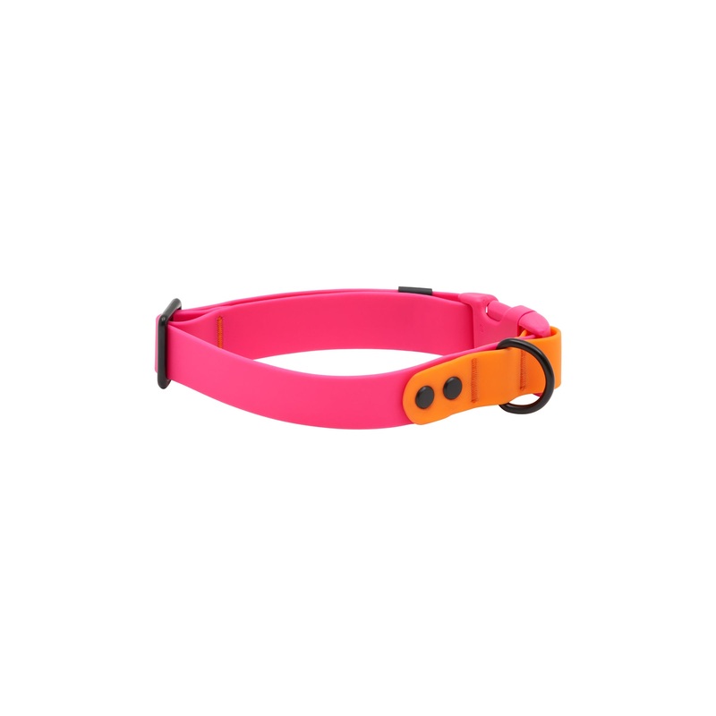 RC Pets Waterproof Collar for Dogs in Azalea & Orange