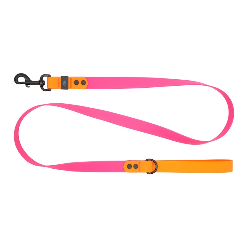 RC Pets Waterproof Leash for Dogs in Azalea & Orange