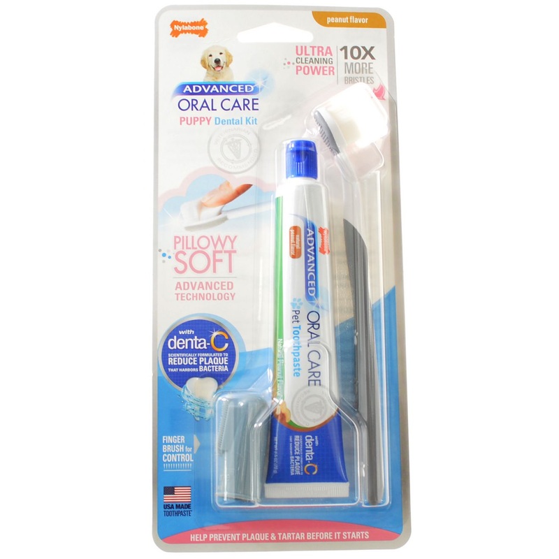 Nylabone Advanced Oral Care Puppy Dental Kit