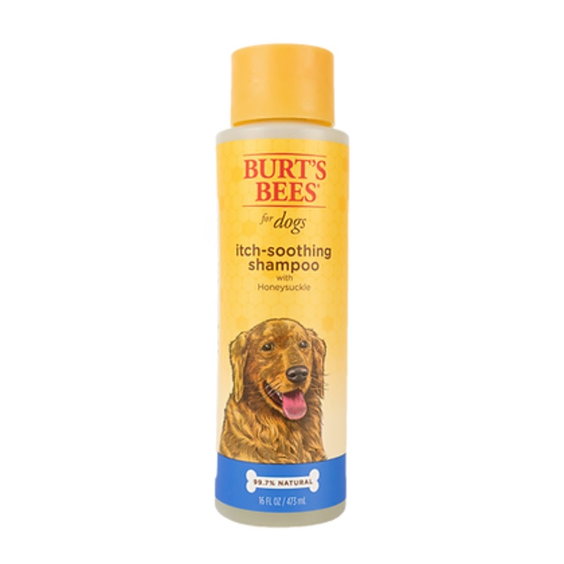 BURTS BEES ITCH SOOTHING SHAMPOO WITH HONEYSUCKLE