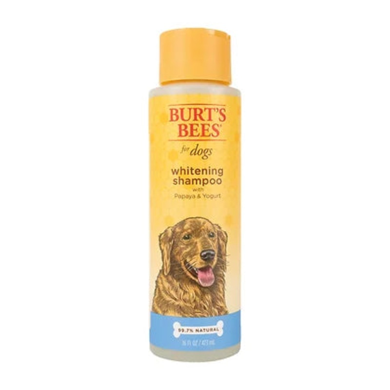 BURTS BEES WHITENING SHAMPOO WITH PAPAYA & YOGURT