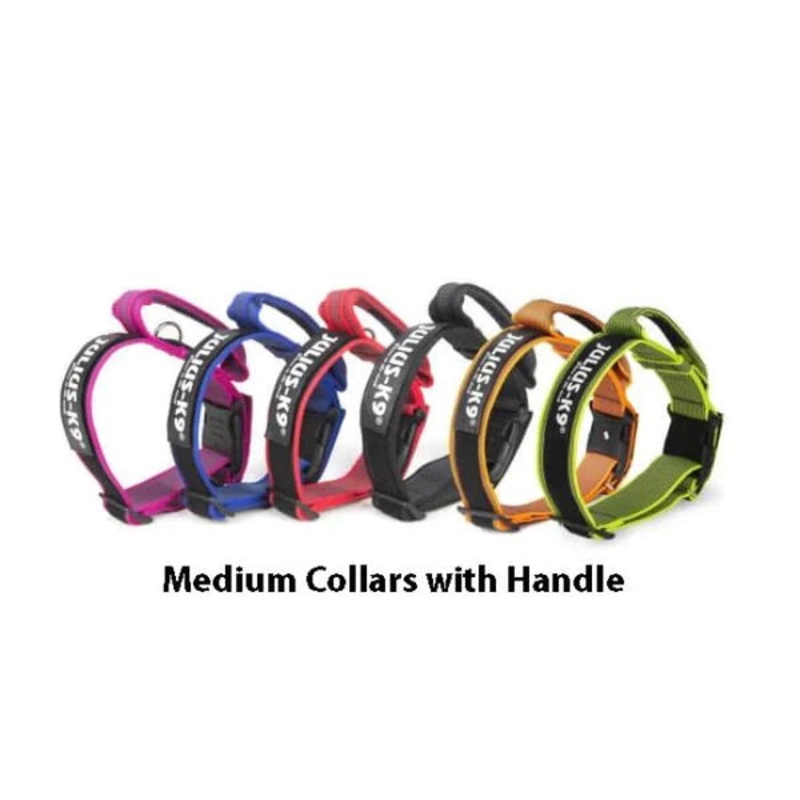 JULIUS-K9 IDC COLLAR WITH SAFETY LOCK & HANDLE - LARGE 50MM THICK