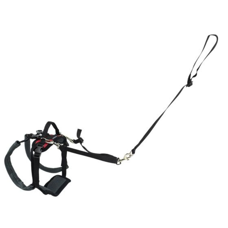 PetSafe Care Lift Rear Support Harness