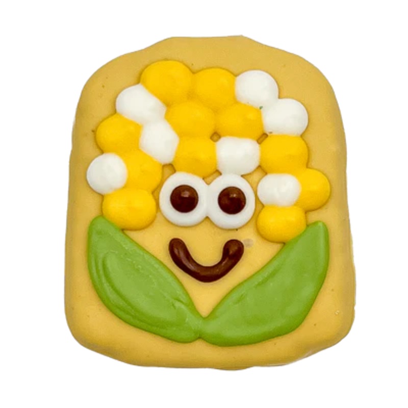 BOSCO & ROXY MAIZE CORN SUMMER BBQ COLLECTION