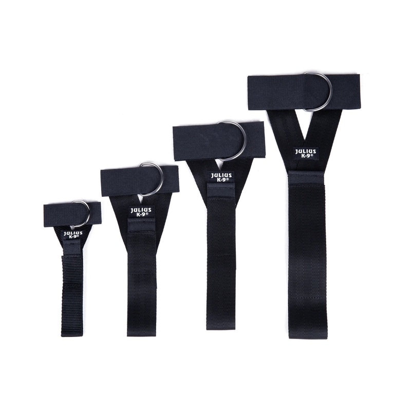 JULIUS-K9 IDC FRONT RING - CONTROL Y BELT WITH FRONT RING