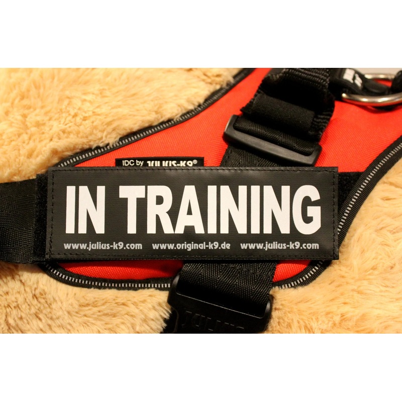 JULIUS-K9 IDC HARNESS LABEL & PATCH : IN TRAINING