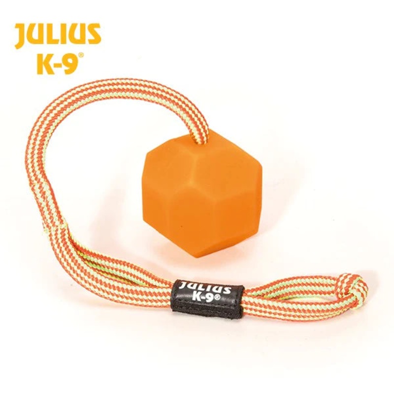 JULIUS-K9 IDC FLUORESCENT TRAINING BALL