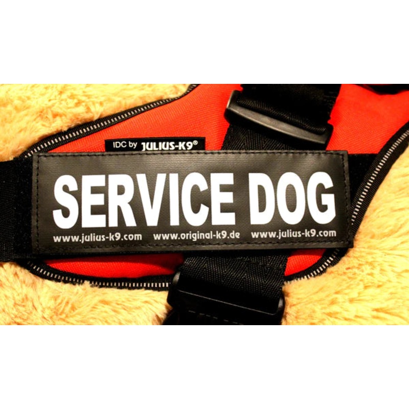 JULIUS-K9 IDC HARNESS LABEL & PATCH : SERVICE DOG