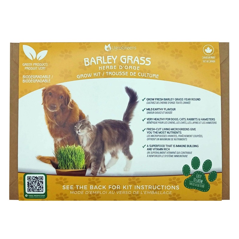 UGROGREENS- Barley Grass  Grow Kit