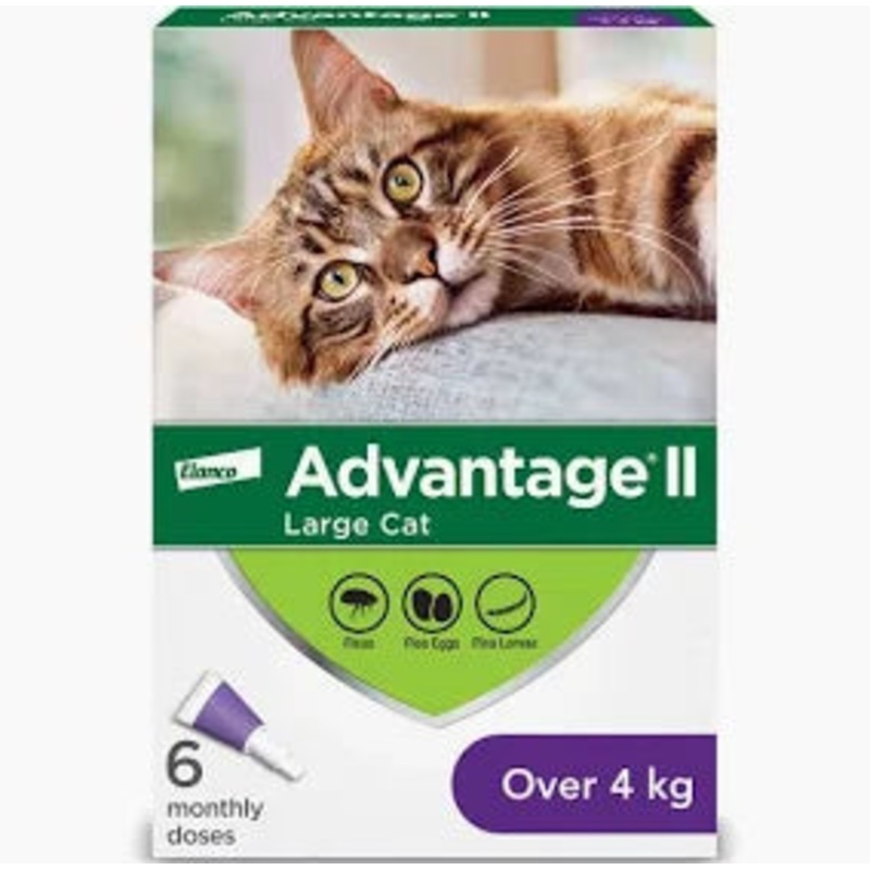 K9 ADVANTAGE FOR LARGE CATS