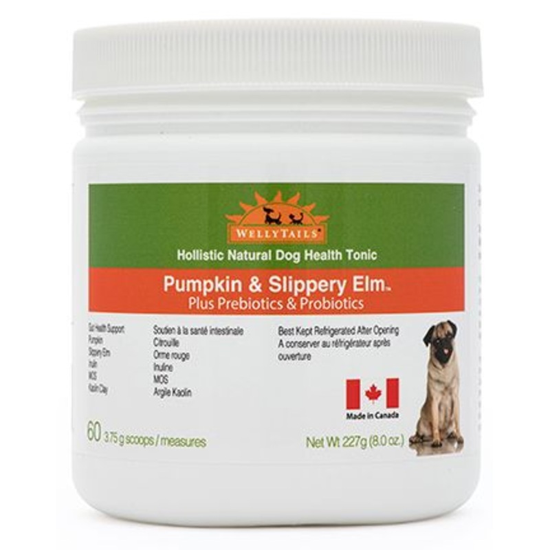 WELLYTAILS GUT PREBIOTICS PLUS PUMPKIN AND SLIPPERY DOG SUPPLEMENT
