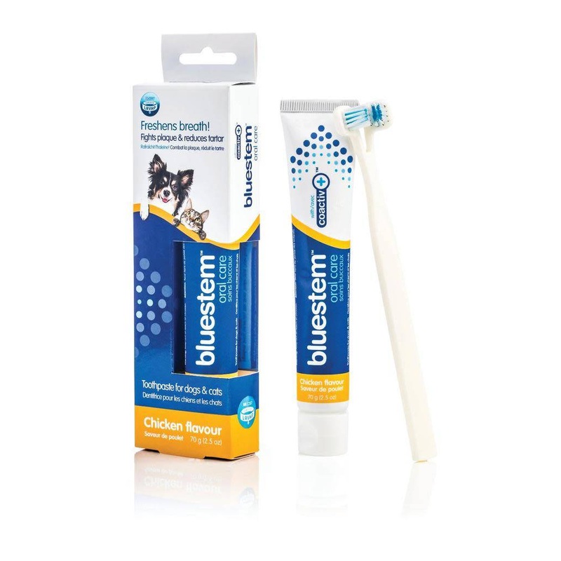 BLUESTEM ORAL CARE: TOOTHBRUSH & TOOTHPASTE PACK