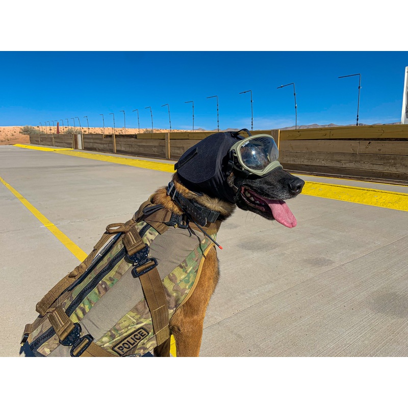 REX SPECS EAR PRO FOR DOGS